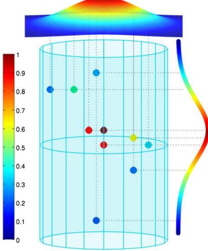Horizontal (g°, gaussian profile, surface) and vertical (g’,