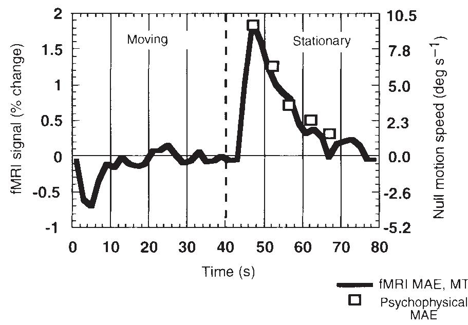 Figure 4 - from Visual motion aftereffect in human cortical