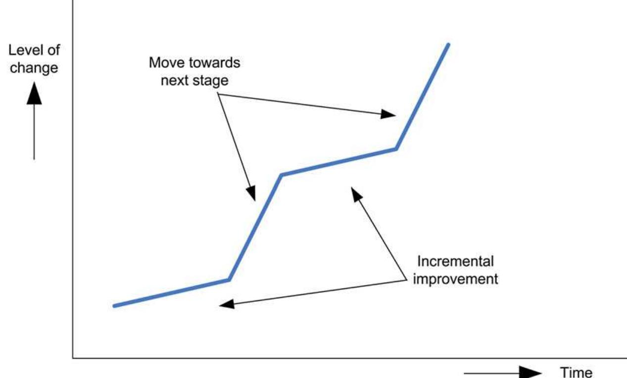 Dynamic Staging (PDF) Realizing joined-up government — Dynamic capabilities and stage ...