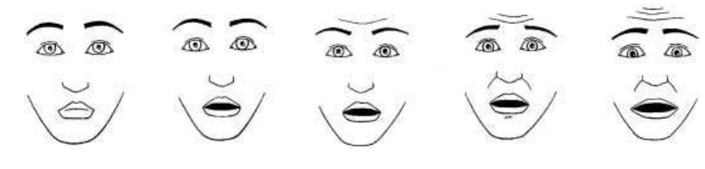 Relf Testing Faces Figure 1 - from Development and testing of a Faces Scale for