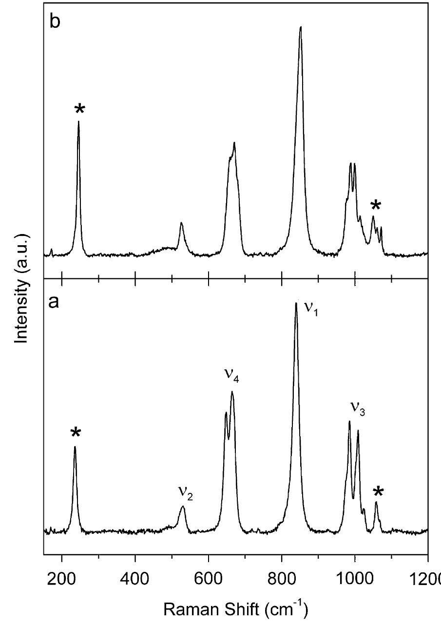 Nav2o5 Raman Figure 3 - from High-pressure synthesis and structural