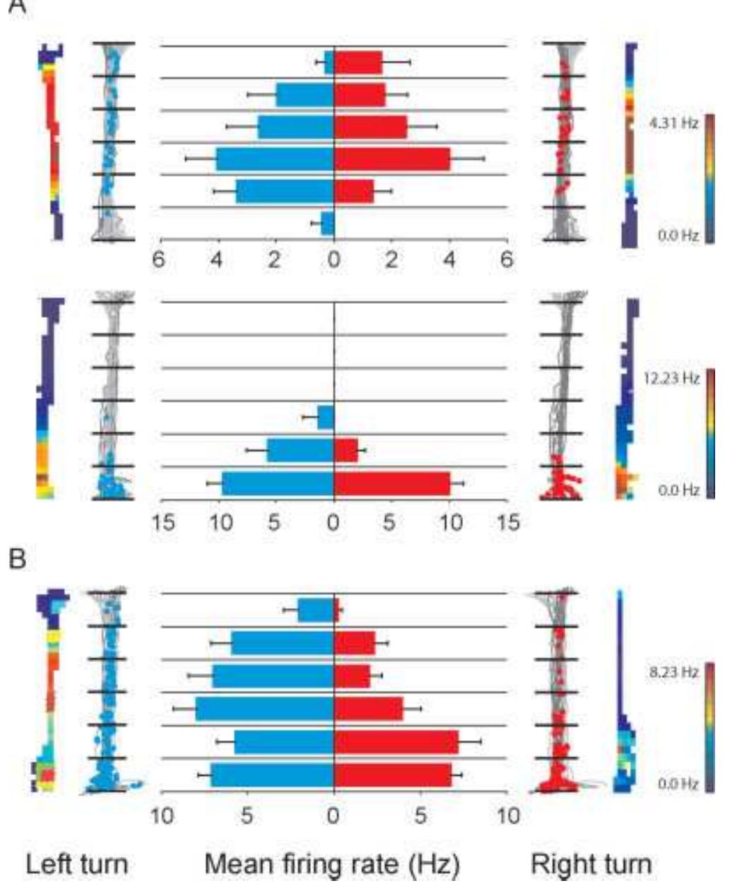 (PDF) Exploring the role of context-dependent hippocampal activity in ...
