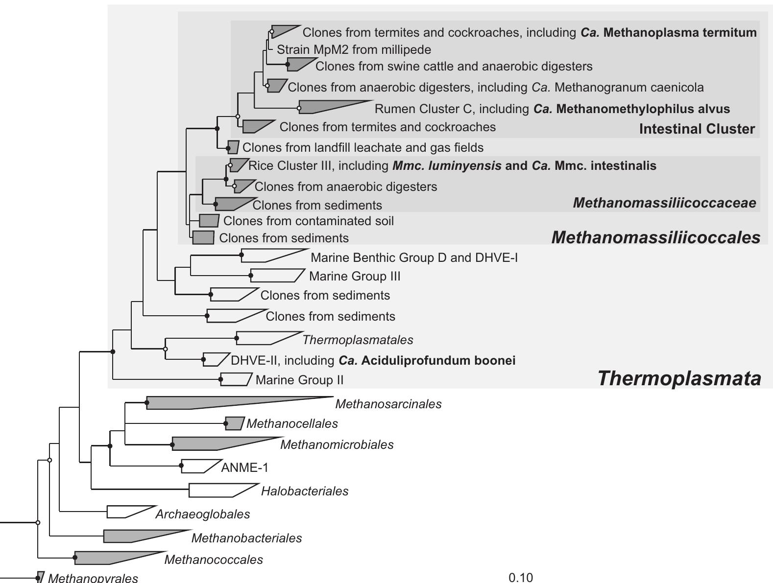 Figure 1 - from Comparative Genome Analysis of "Candidatus