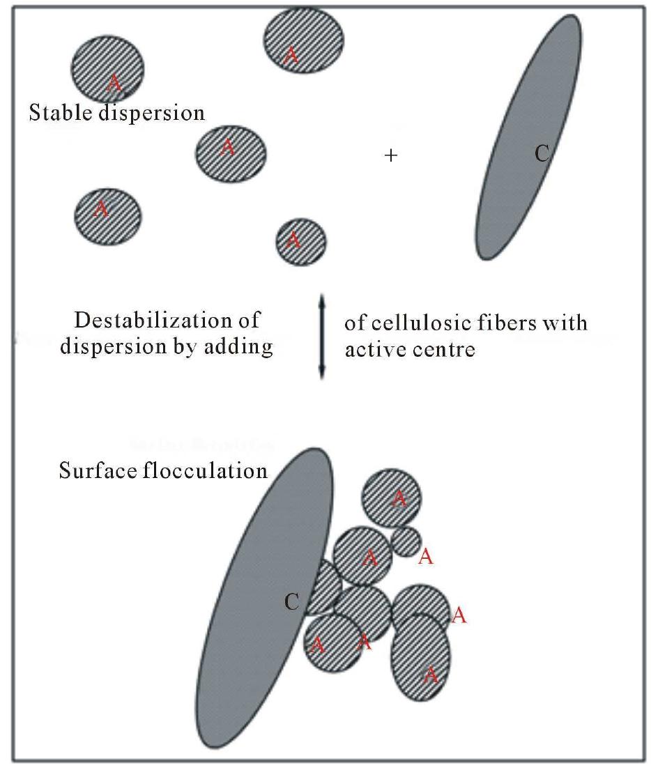 (PDF) Cellulosic Sorption Filter Materials with Surface Flocculation ...