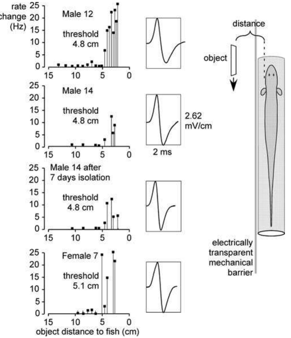 Fish Wave Forms Figure 30 - from Fish_Physiology_2007_Vol_25_Sensory_Systems