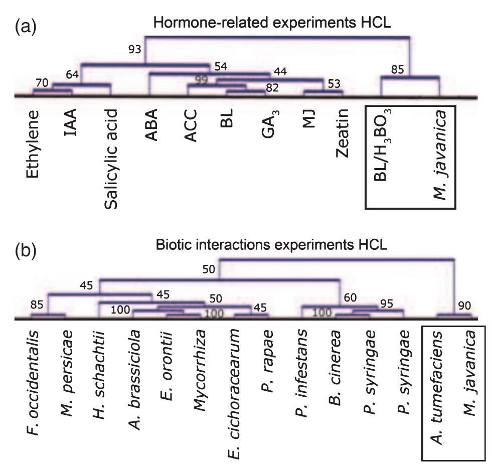 Transcriptological Analysis Figure 5 - from Early transcriptomic events in