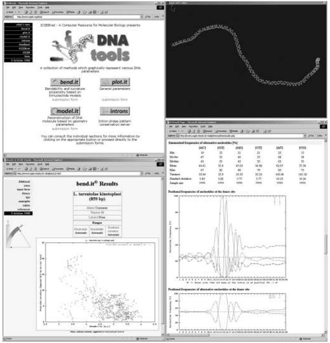 (PDF) DNA analysis servers: plot.it, bend.it, model.it and IS