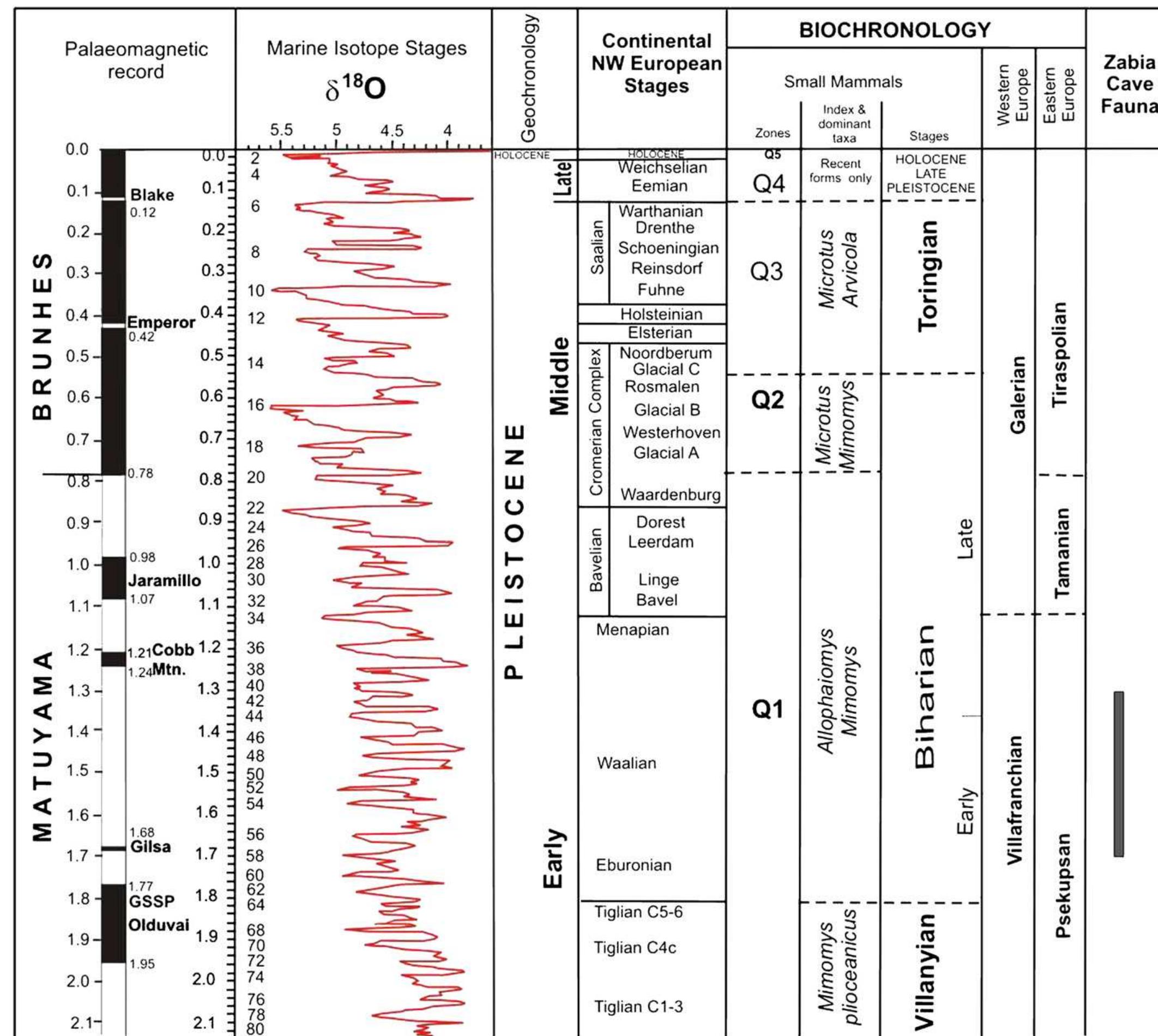 (PDF) Biostratigraphic importance of the Early Pleistocene fauna from ...