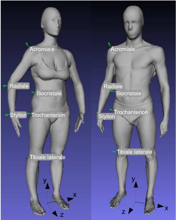 (PDF) Automatic Location of Landmarks used in Manual Anthropometry