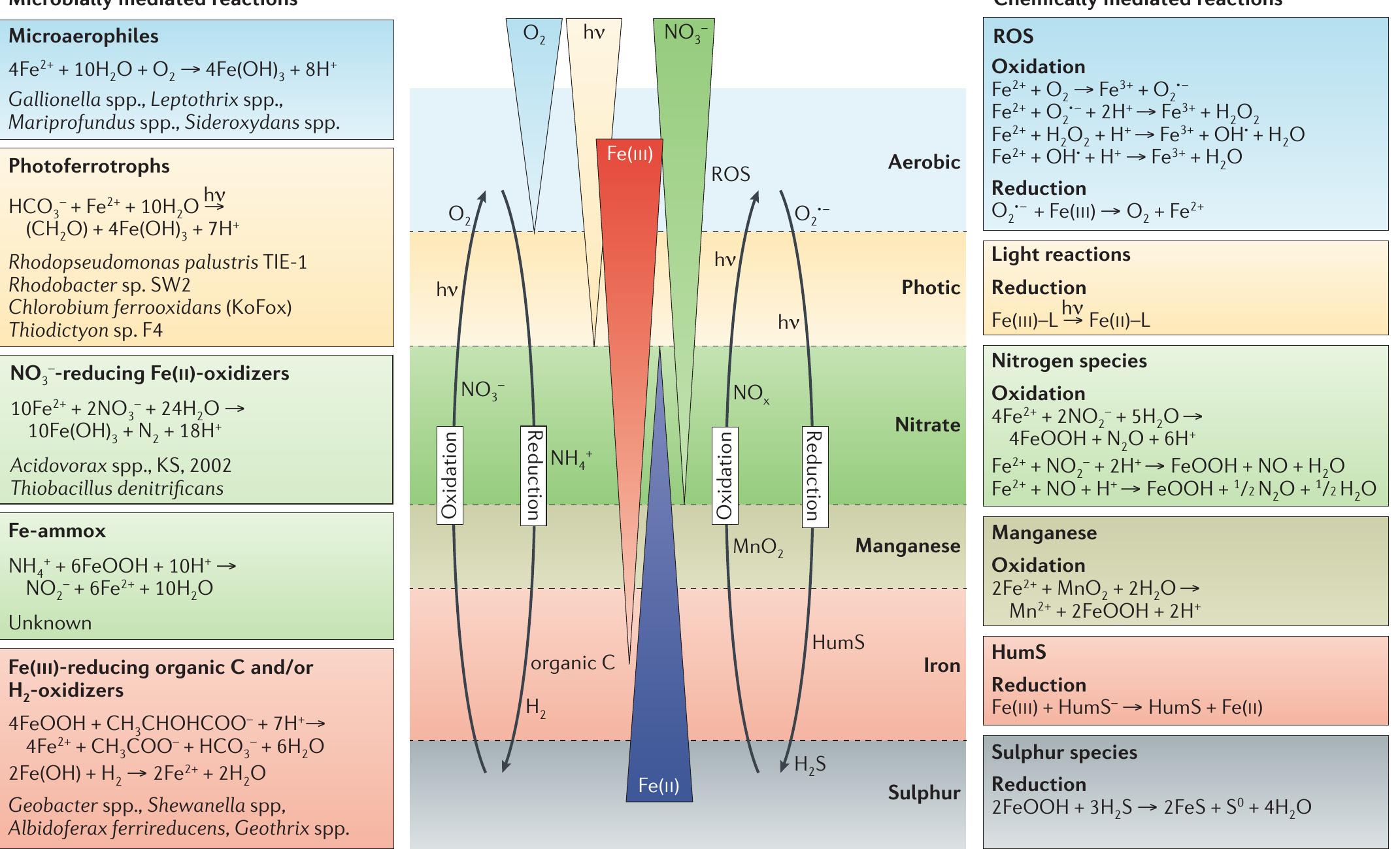(PDF) The interplay of microbially mediated and abiotic reactions in ...
