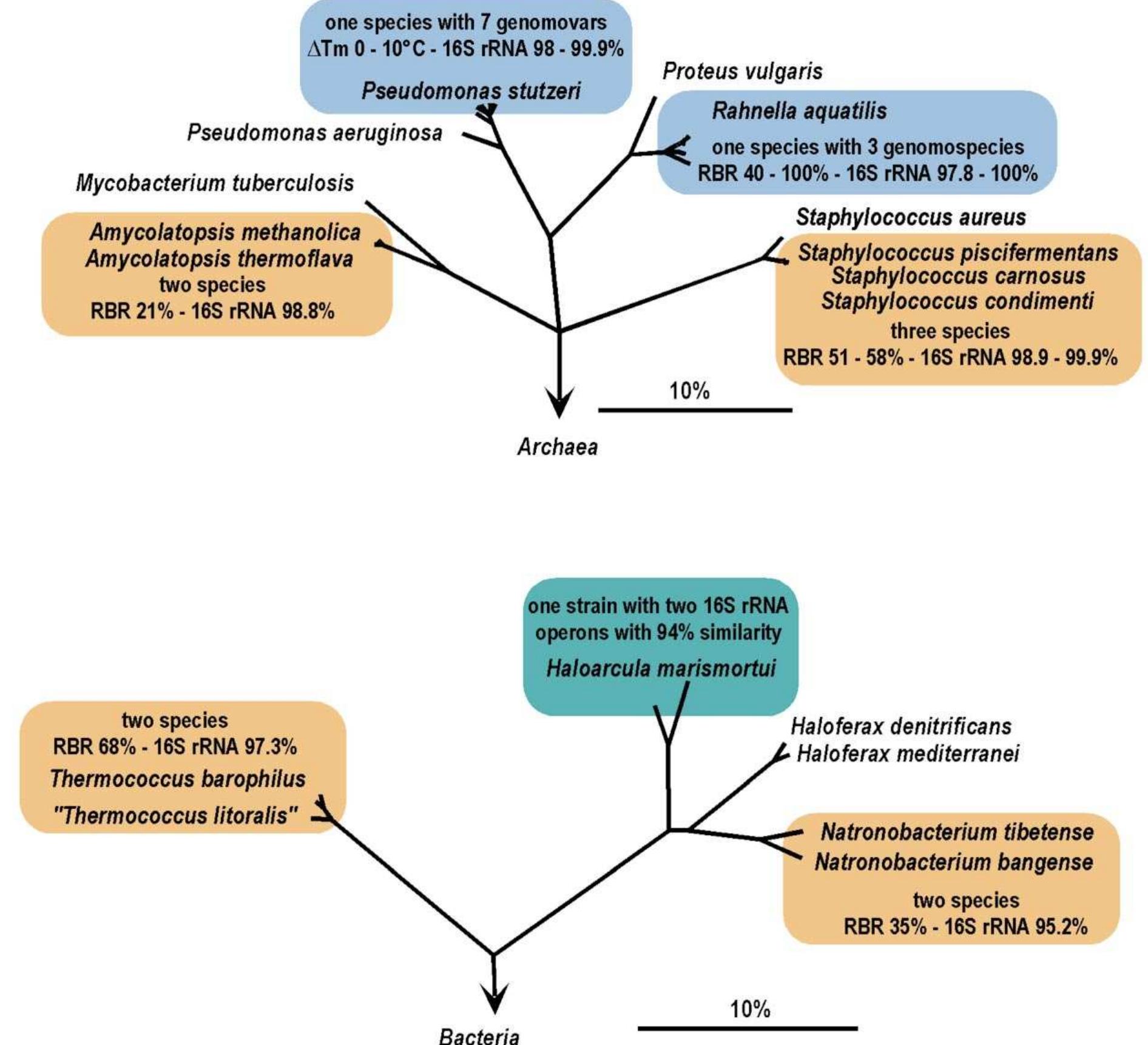 (PDF) The species concept for prokaryotes