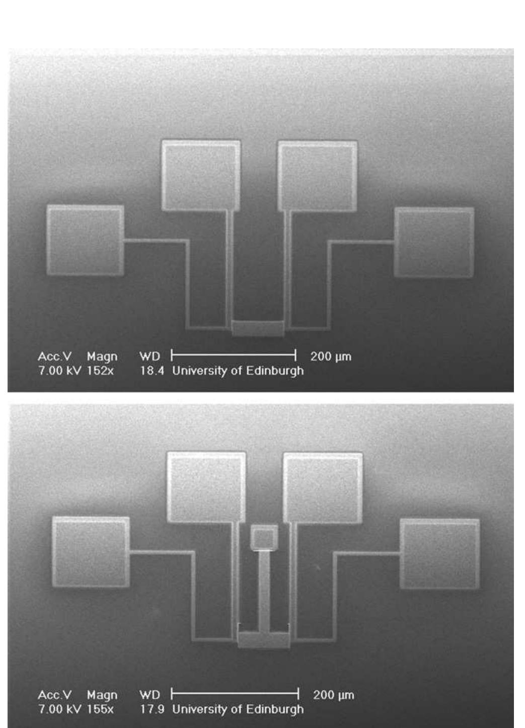 Top view scanning electron microscope (sem) image of the