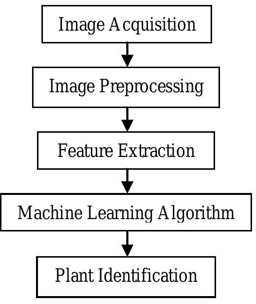(PDF) A Review and a Comparative Study of Various Plant Recognition and ...