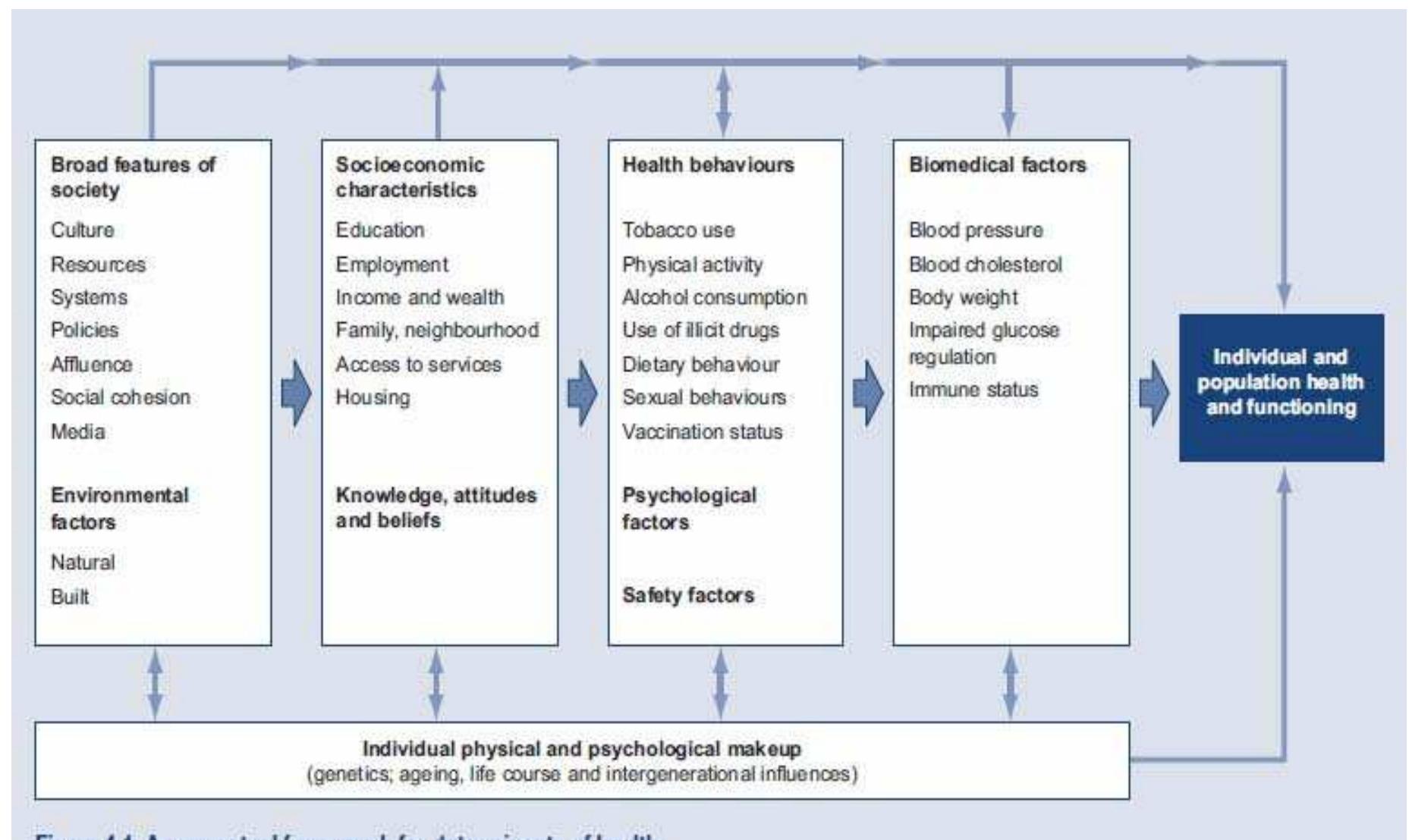 Conceptual framework for the determinants of health (source: