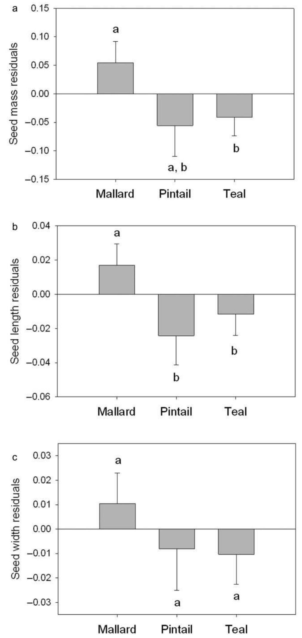 Null Ingested (PDF) Is diet segregation between dabbling ducks due to food ...
