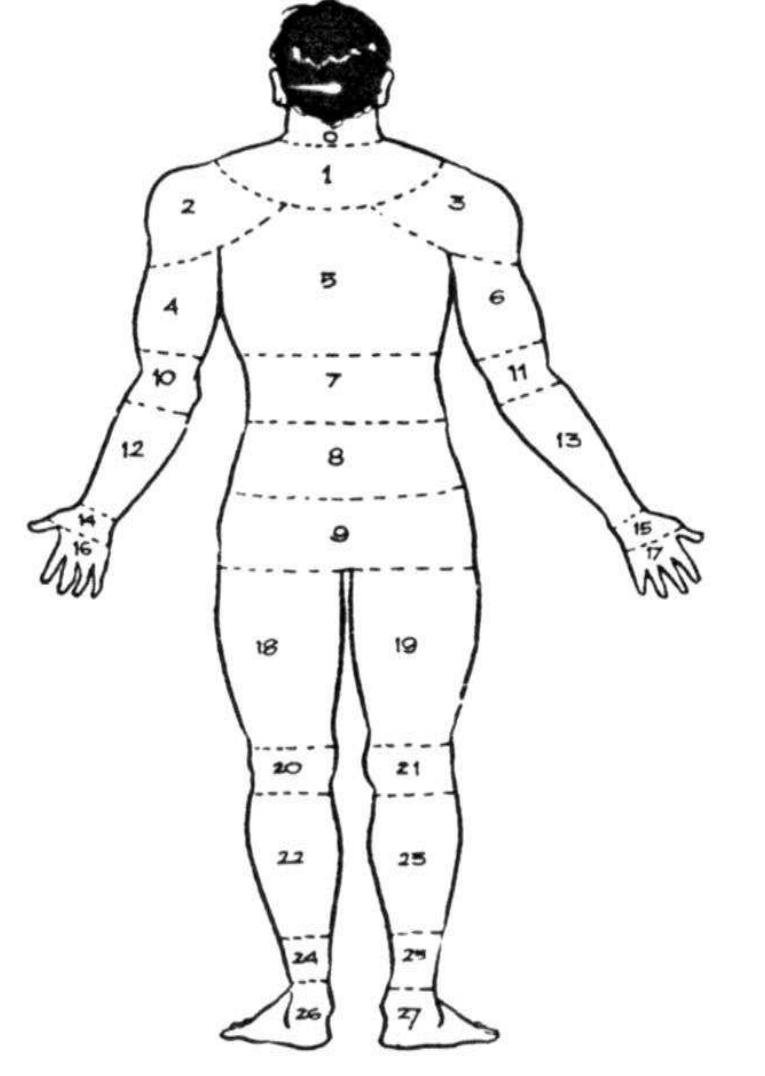 Nordic Body Map.pdf Figure 1 - from ERGONOMICS AND OCCUPATIONAL HEALTH IN