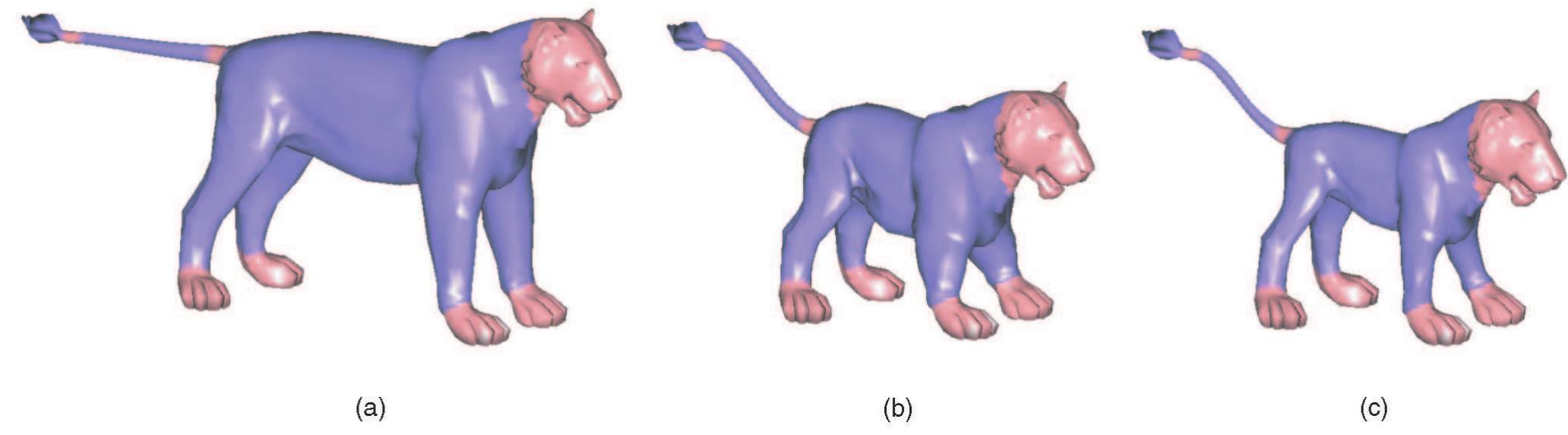 A baby lion cloned from her mother. (a) input model. (b)