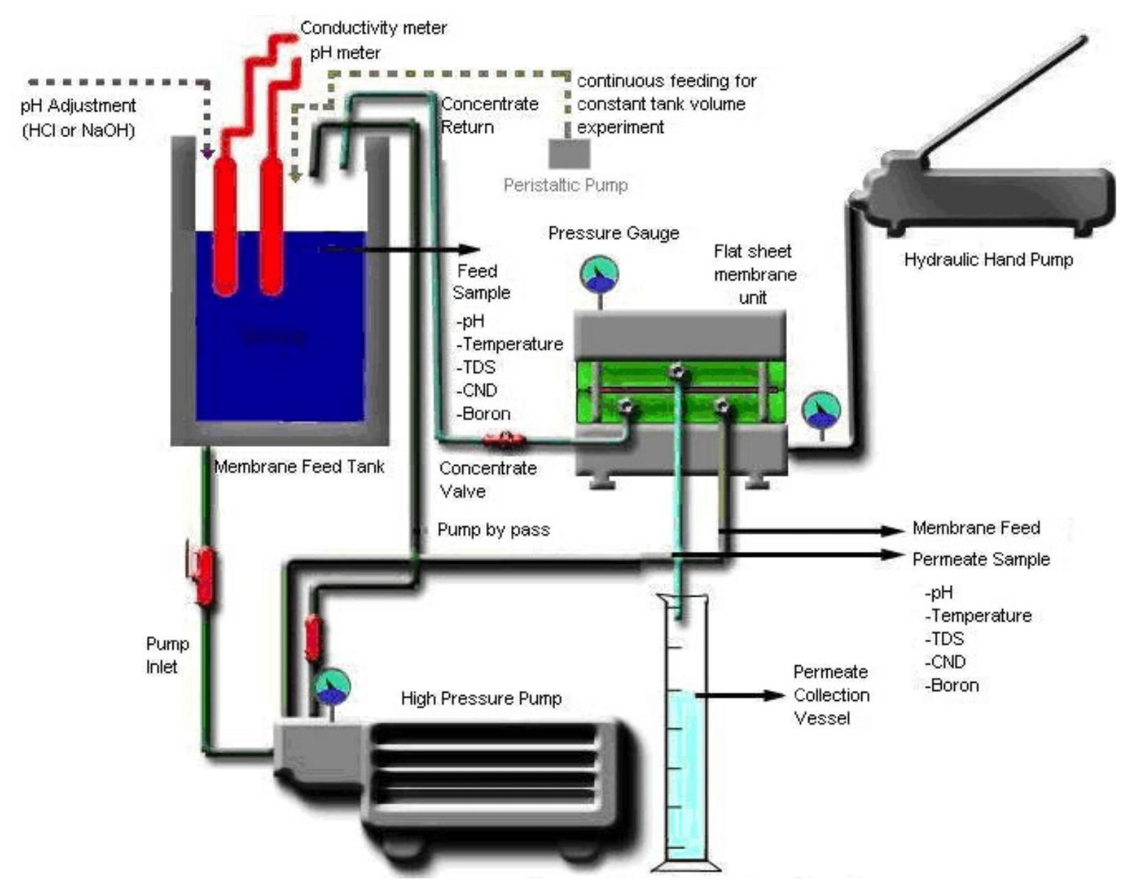 Schematic of the membrane test system. h. koseoglu et al.