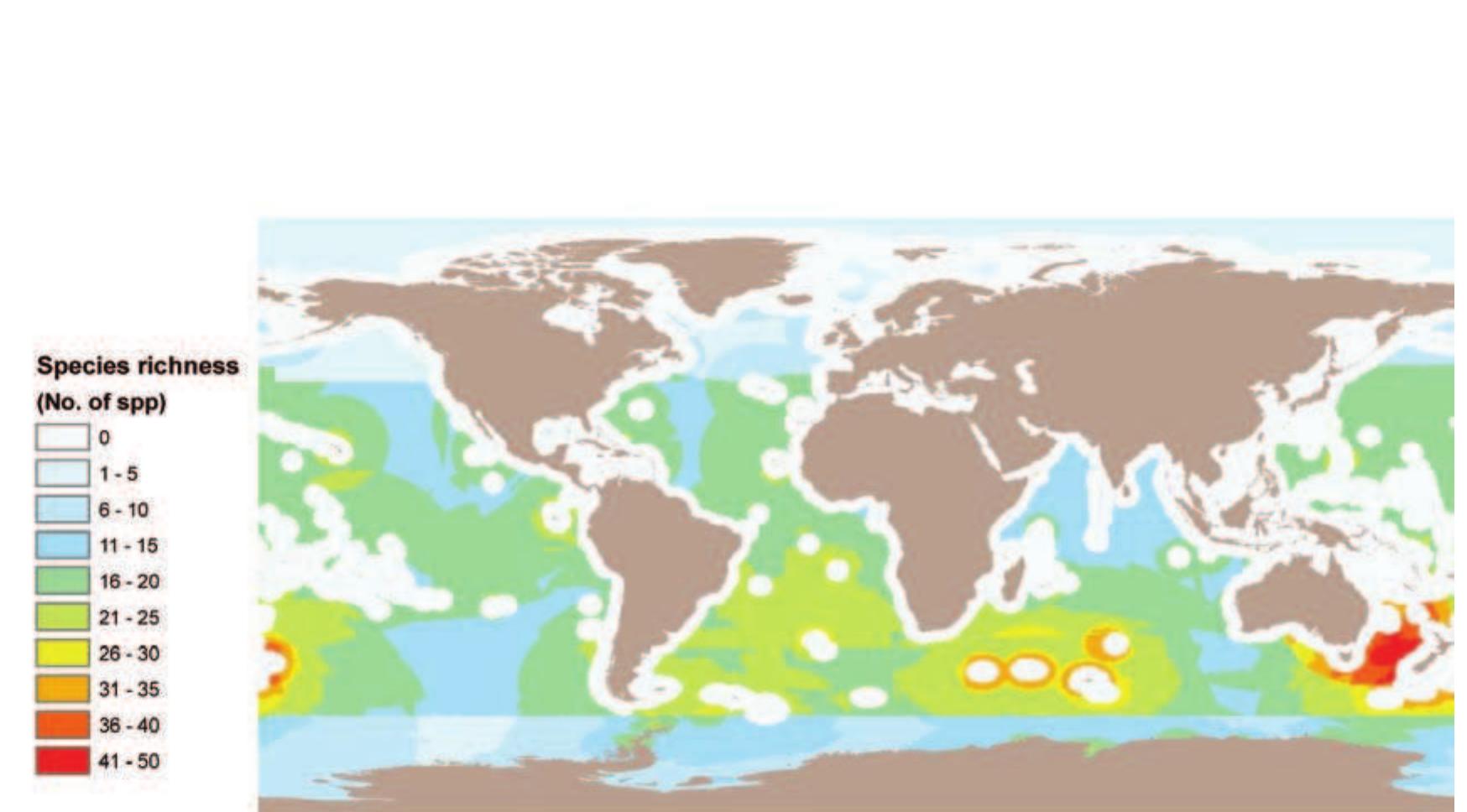Map of species richness of pelagic seabirds, based on the