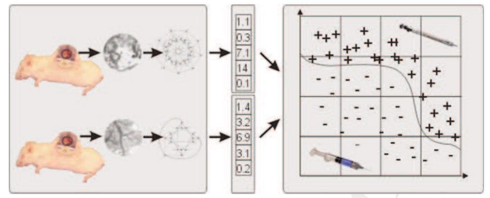 18 the diagram showing the process of feature vector