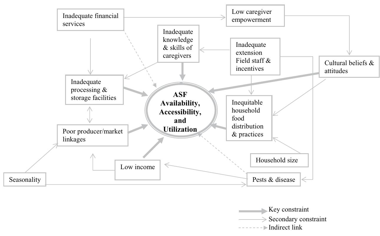 (PDF) Constraints on the Use of Animal Source Foods for Young Children ...