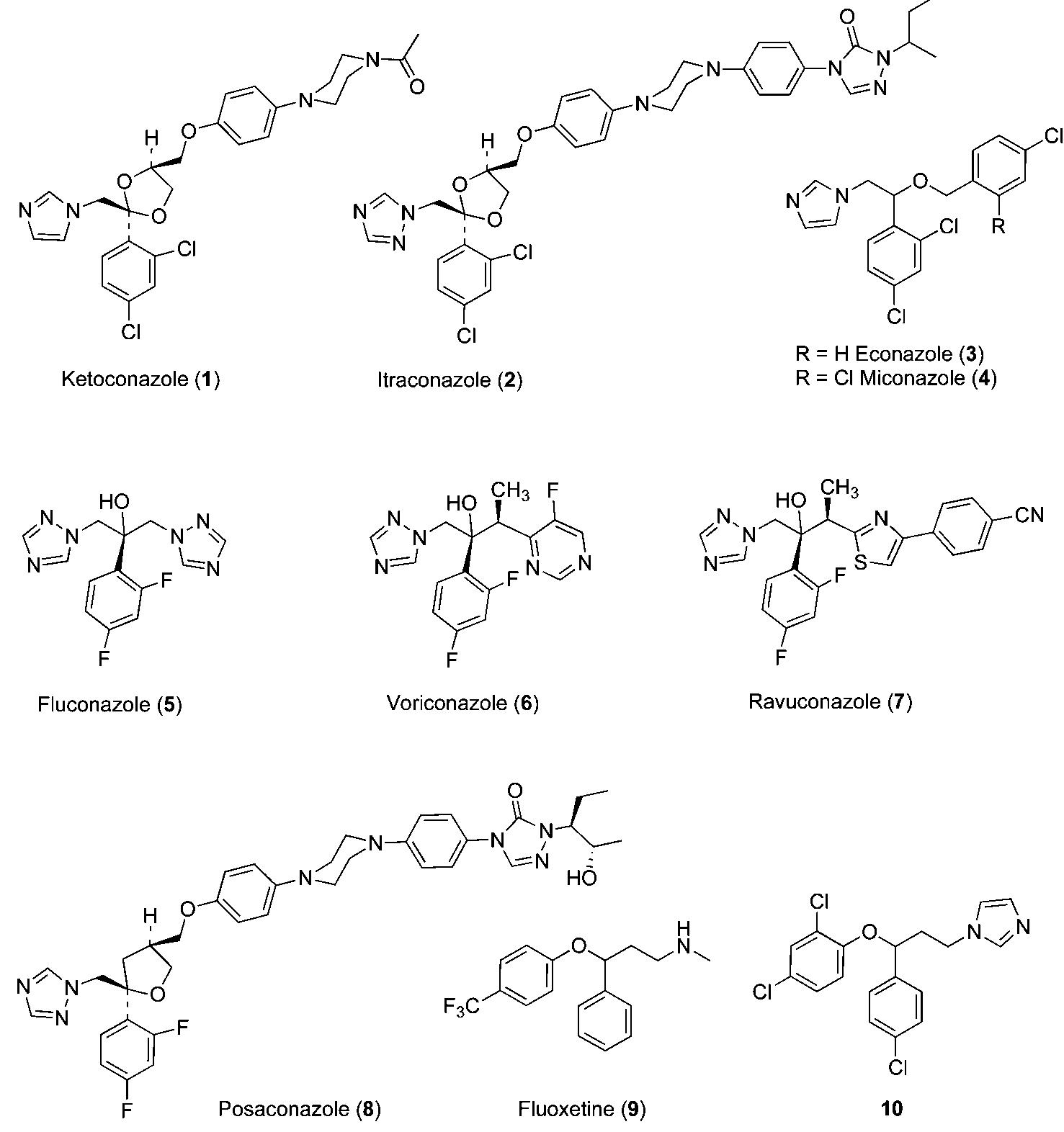 Chart 2. structure of 10 dissected in four sections for the