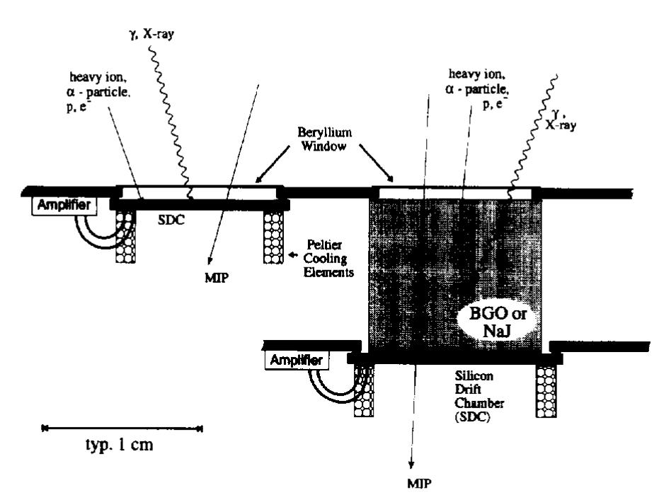 Schematic drawing of a multipurpose dosimeter for unknown