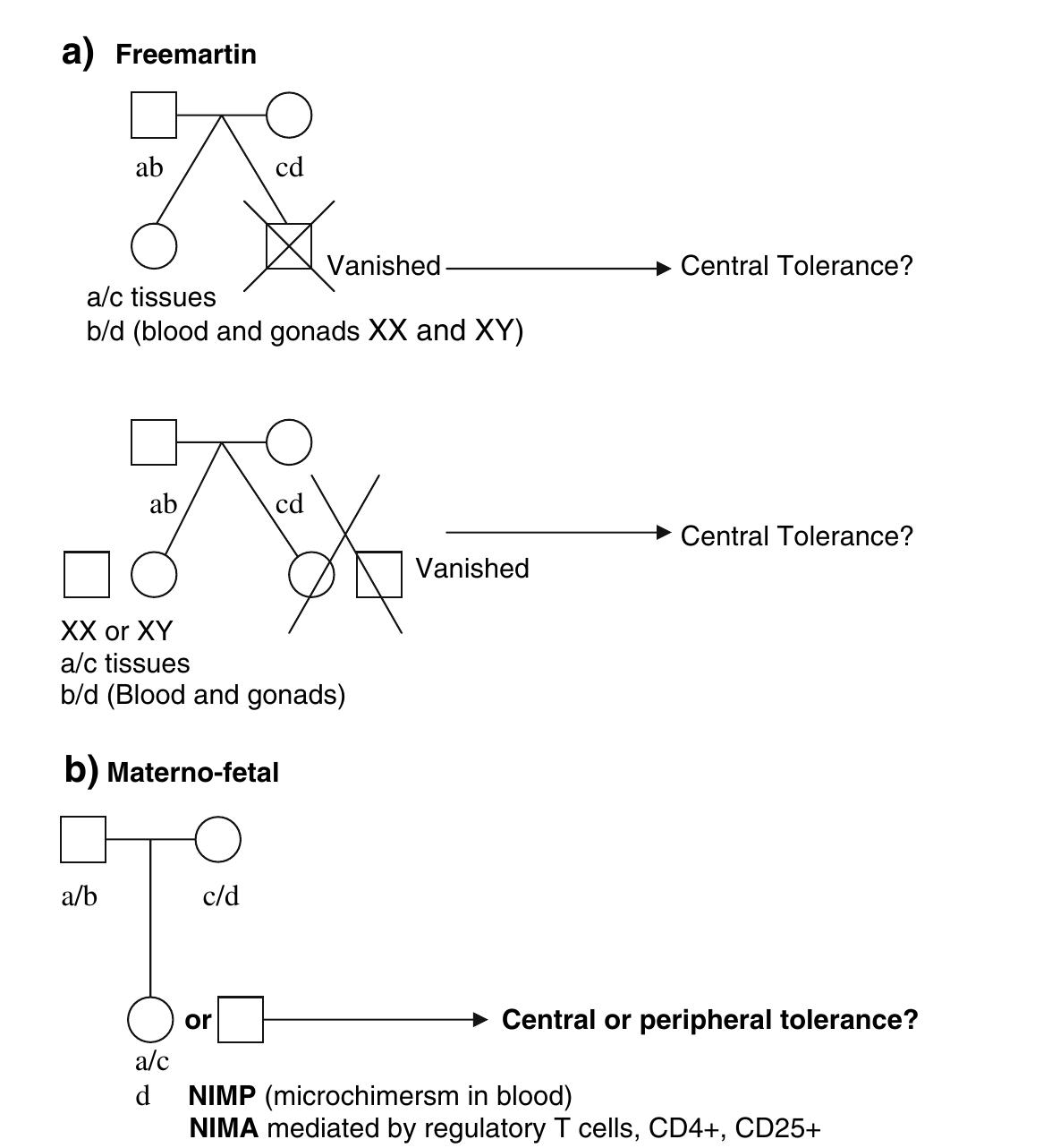 (PDF) Chimerism and tetragametic chimerism in humans: implications in ...