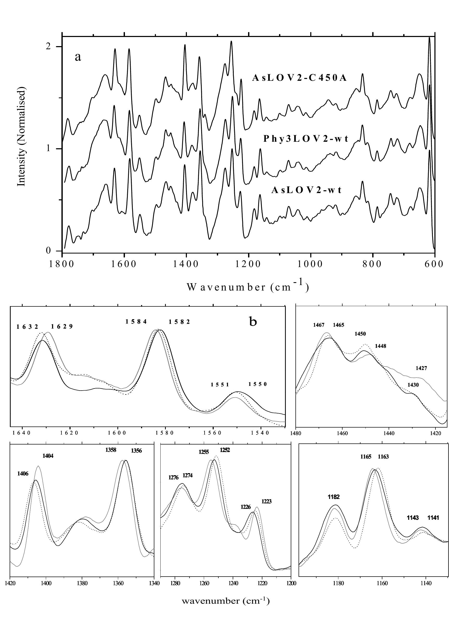 Fln spectra of various lov2 domains. (a) fln spectra of wild