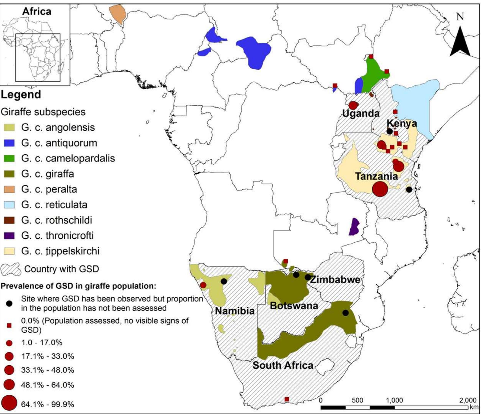 Giraffe Distribution Map (PDF) Regional variation of the manifestation, prevalence, and severity ...