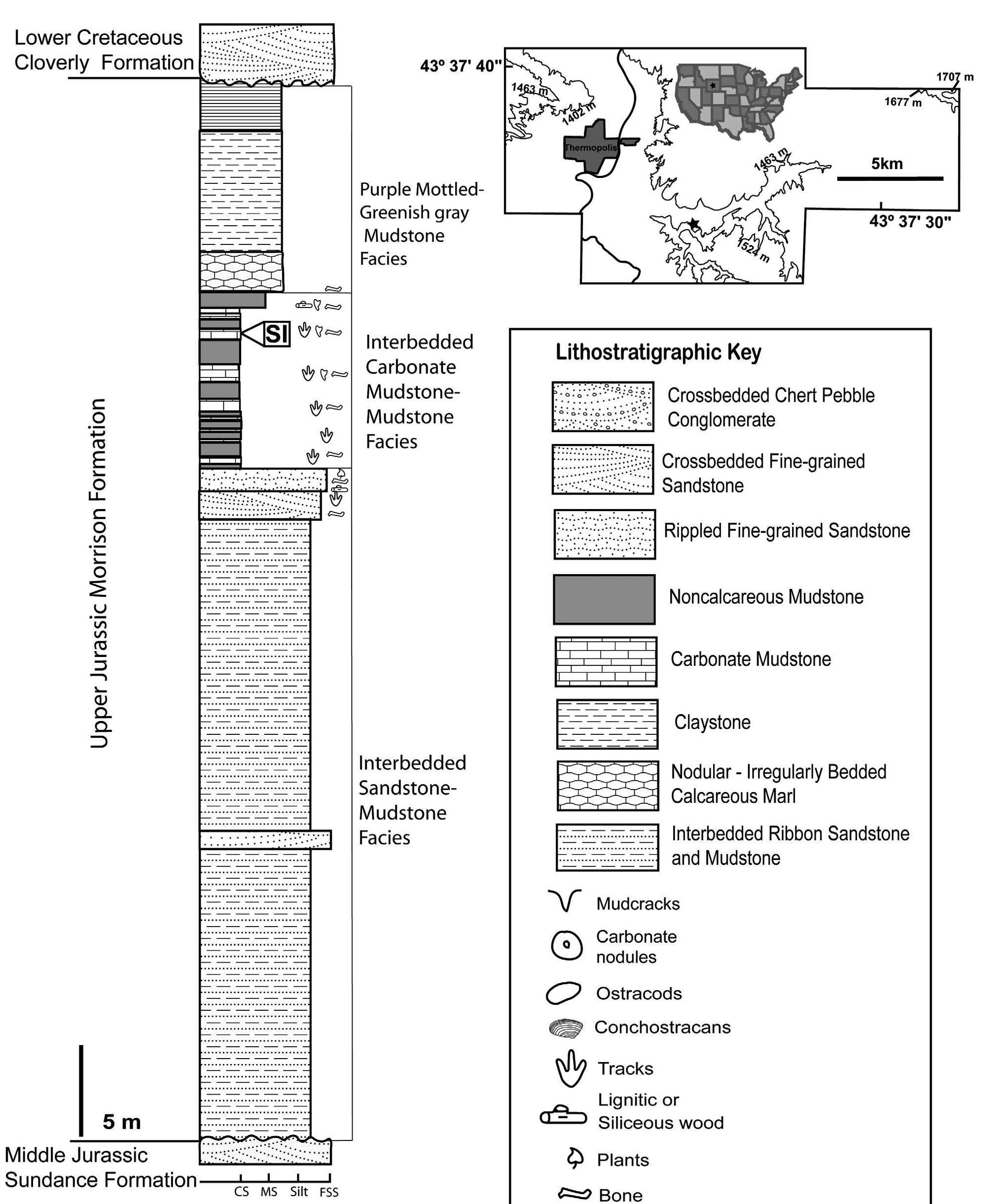 (PDF) Taphonomic Analysis of a Dinosaur Feeding Site Using Geographic ...