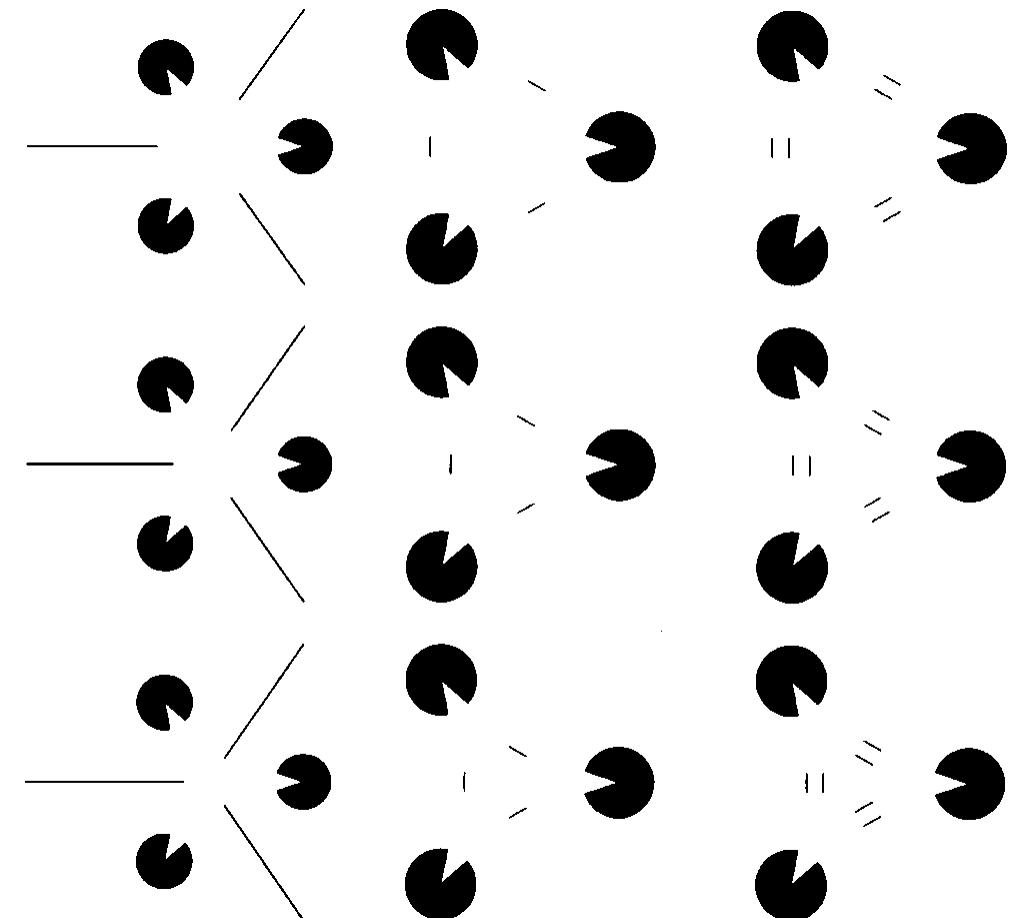 (PDF) Neurogeometry of V1 and Kanizsa Contours