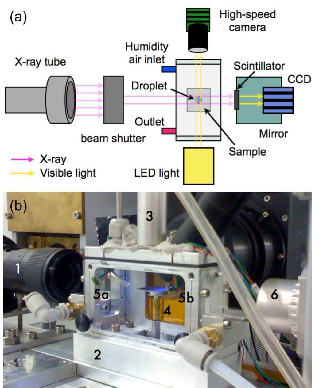 Top Vision Module Setup | experimental setup. (a) schematic top view with main