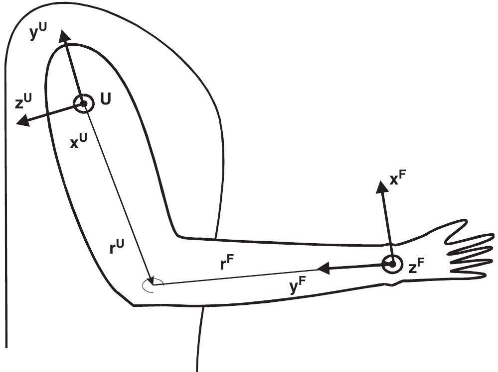 (PDF) Ambulatory measurement of arm orientation