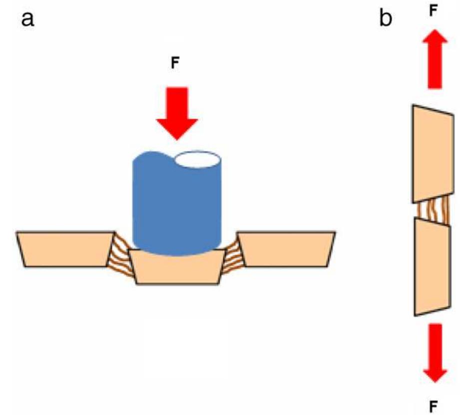 - schematic diagram of the (a) shear test and (b) tensile