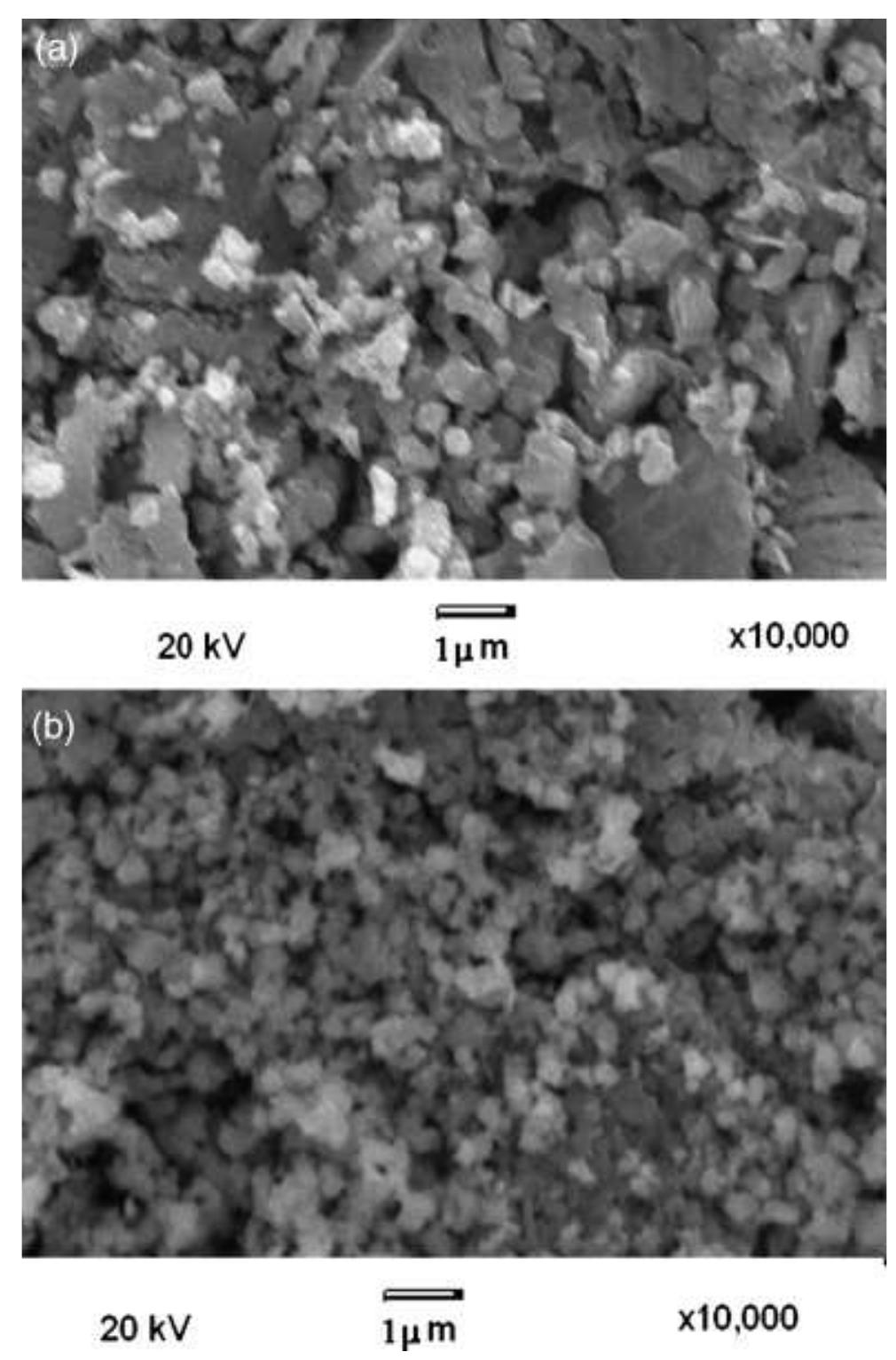 Fig.3. (a) Scanning electron micrograph of strontium Y-type hexafer- rite sample Sr2NipFe;2O>. (b) Scanning electron micrograph of (Mn and Cr) codoped strontium hexaferrite sample Sr2Ni; 4Mno 6FeCrOz.  in the various metallic sublattices of Y-type hexaferrite.'” As Table III indicates, Mn** ions (occupying tetrahedral sites) and Cr*? ions (occupying octahedral sites) have a presence in the T block. The EDX data show that as the amounts of Mn*? and Cr*? in the T block increase, so does the amount of Sr** (2.0). This occurs because 80 % of Mn ions tend to occupy tetrahedral sites and the rest of them (20%) tend to occupy octahedral sites.”° Sr*? ions 