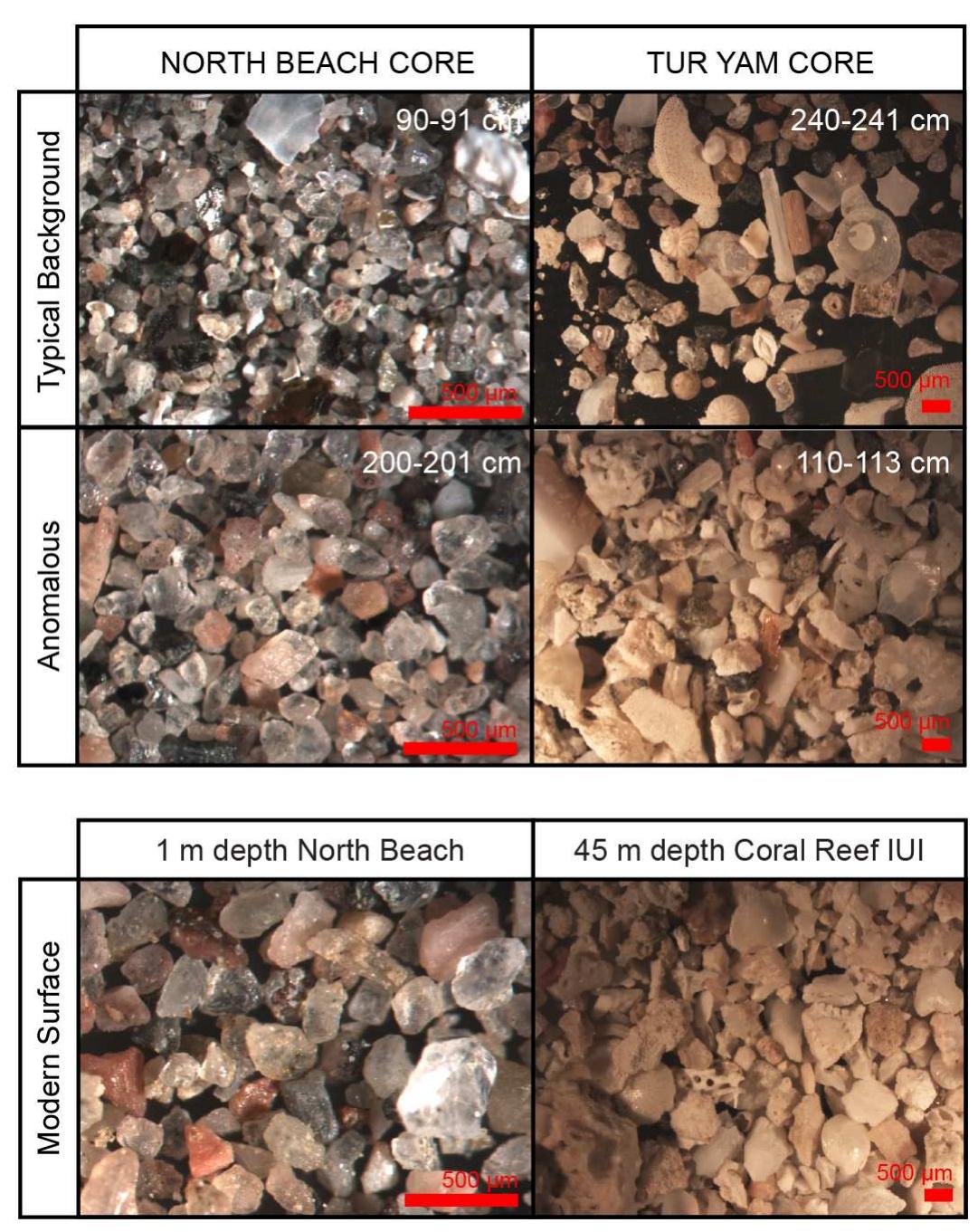 Fig 6. Images of sediments. Photographs of the anomalous and non-anomolous samples from each core and comparative sample from modern collections that bears some resemblance to the anomalous horizon at each site. Upper photos represent typical background samples, which also resemble the modern surface; left: >63 micron sieved sample from 90-91cm North Beach core; right: >500 micron sieved sample from 240— 241 cmin Tur Yam core. Middle photographs are examples from the anomalous sections of each core; left  >63 micron sieved sample from 200-201 cm North Beach core; right >500 micron sieved sample from 110— 113 cmin the Tur Yam core. 