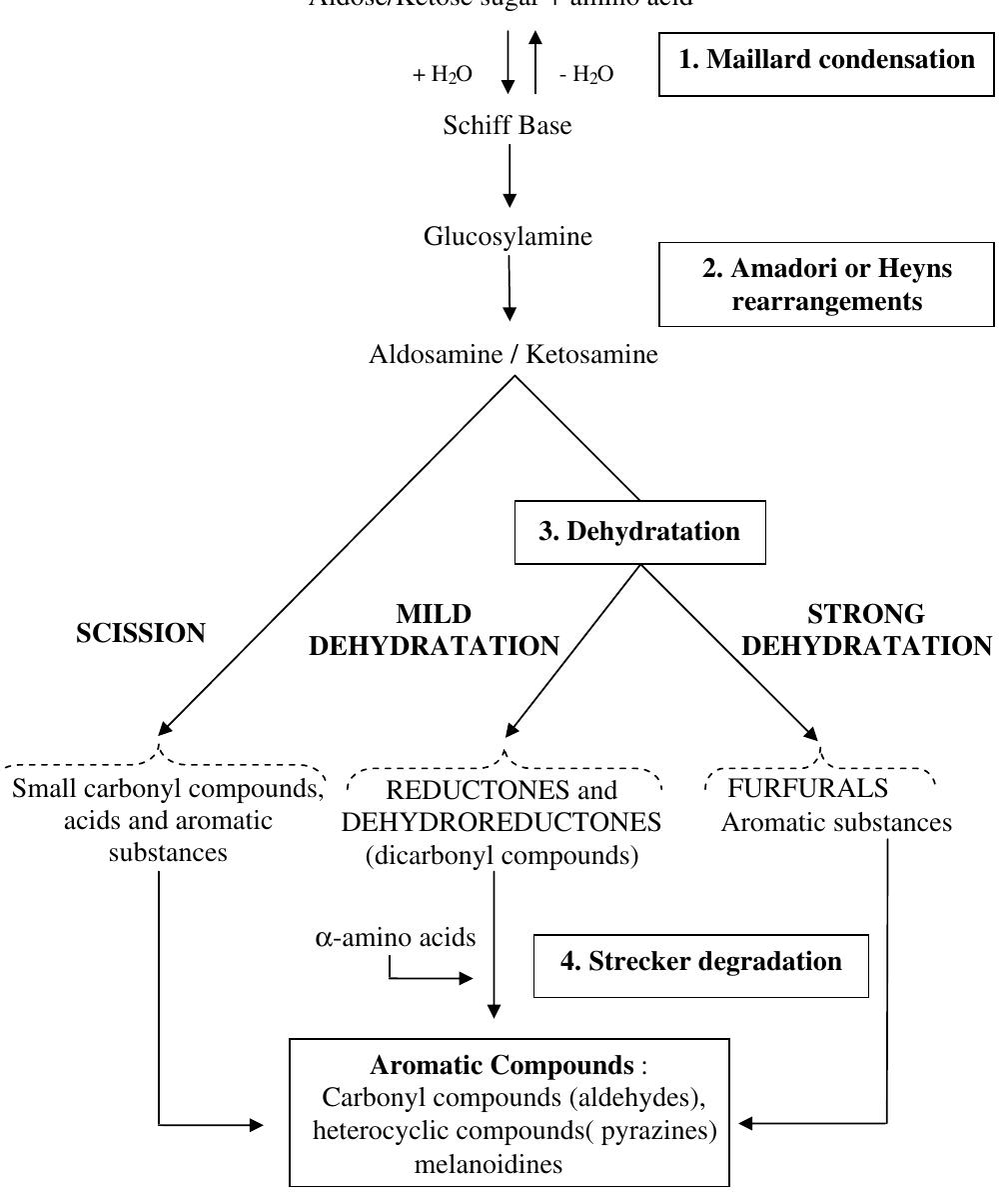 An example of reaction of maillard: principle and different