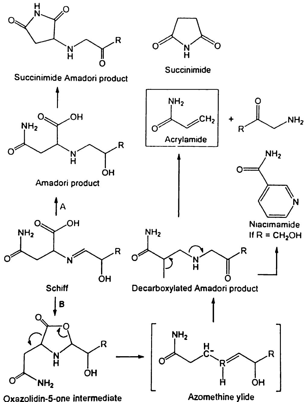 (PDF) Acrylamide in Foods: Chemistry and Analysis. A Review