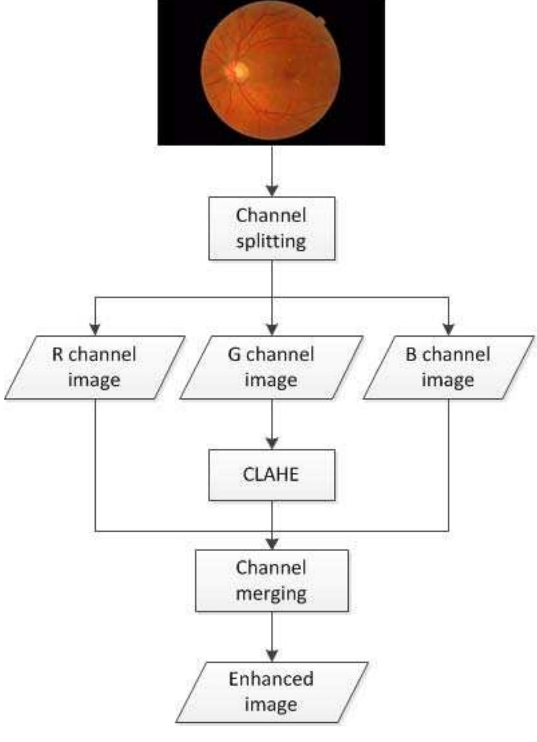(PDF) Color retinal image enhancement using CLAHE