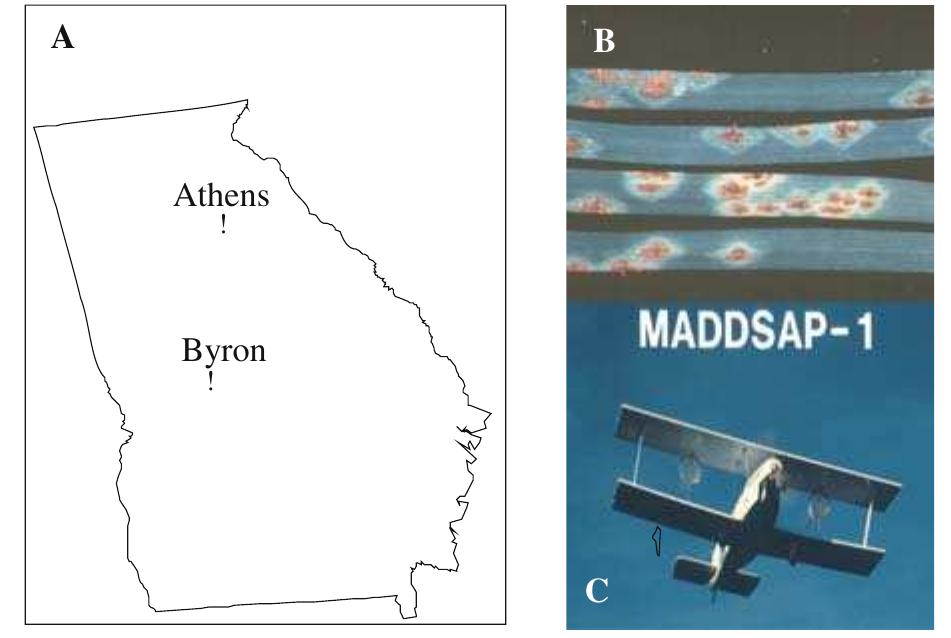 PDF) Rapid Detection of Bioterrorism Pathogens