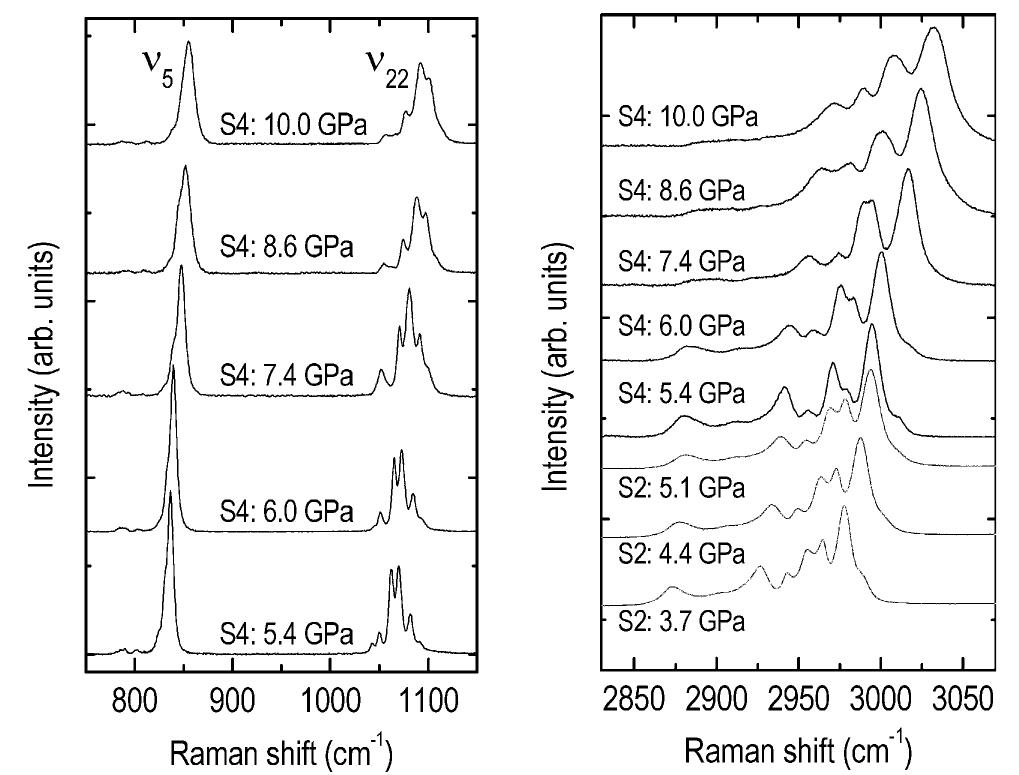 Raman spectra of phase v of cyclohexane in two selected