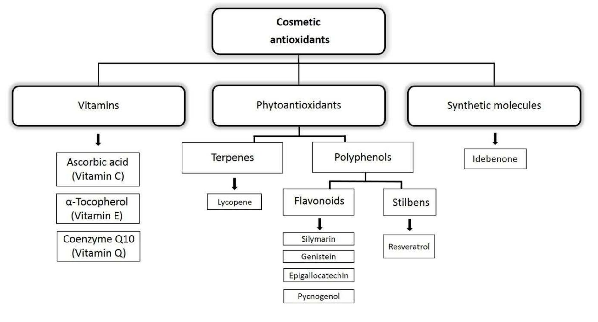 (PDF) Nanocarriers for skin delivery of cosmetic antioxidants ...