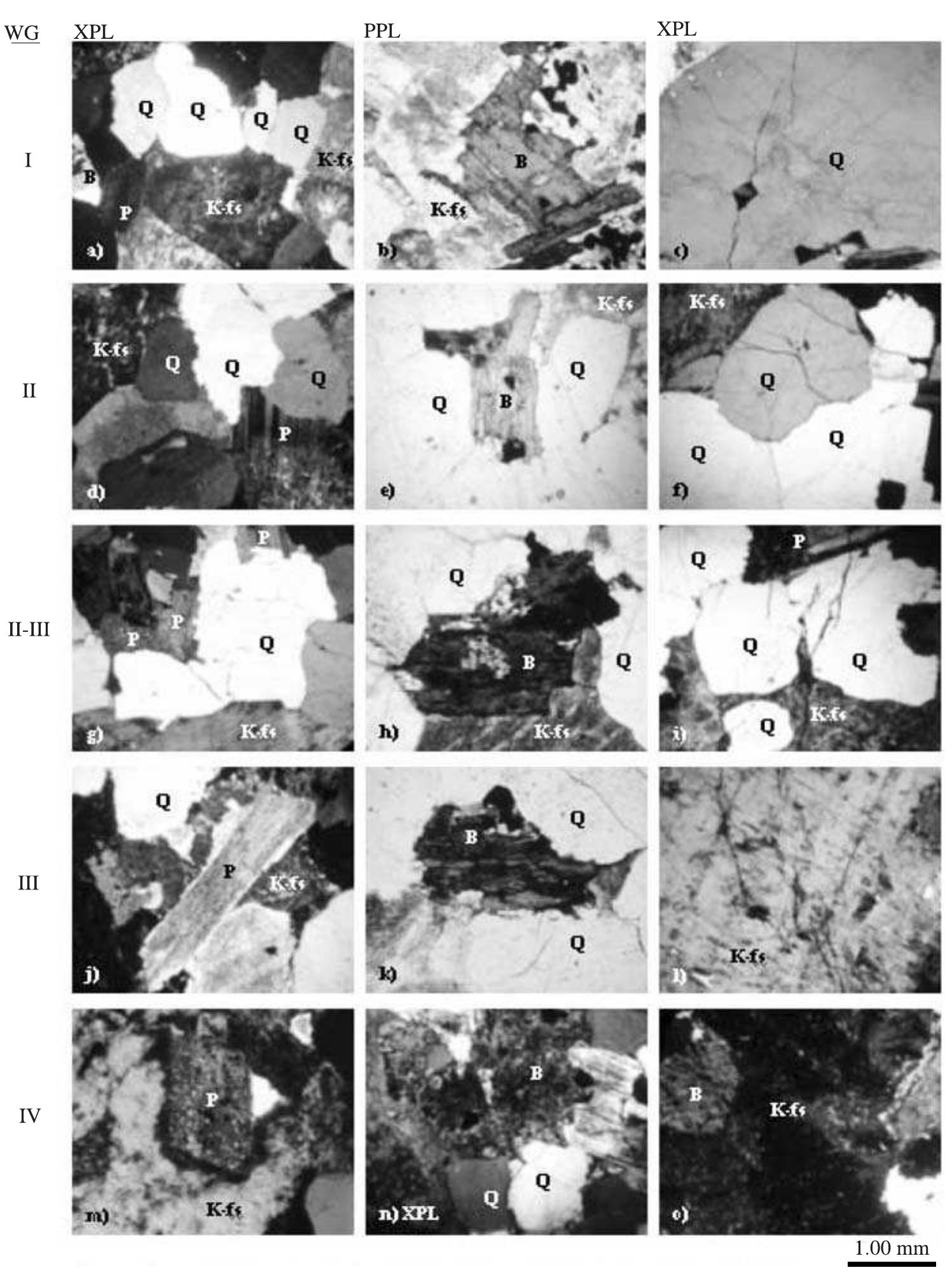 Fig. 2. Photomicrographs according to weathering grades 