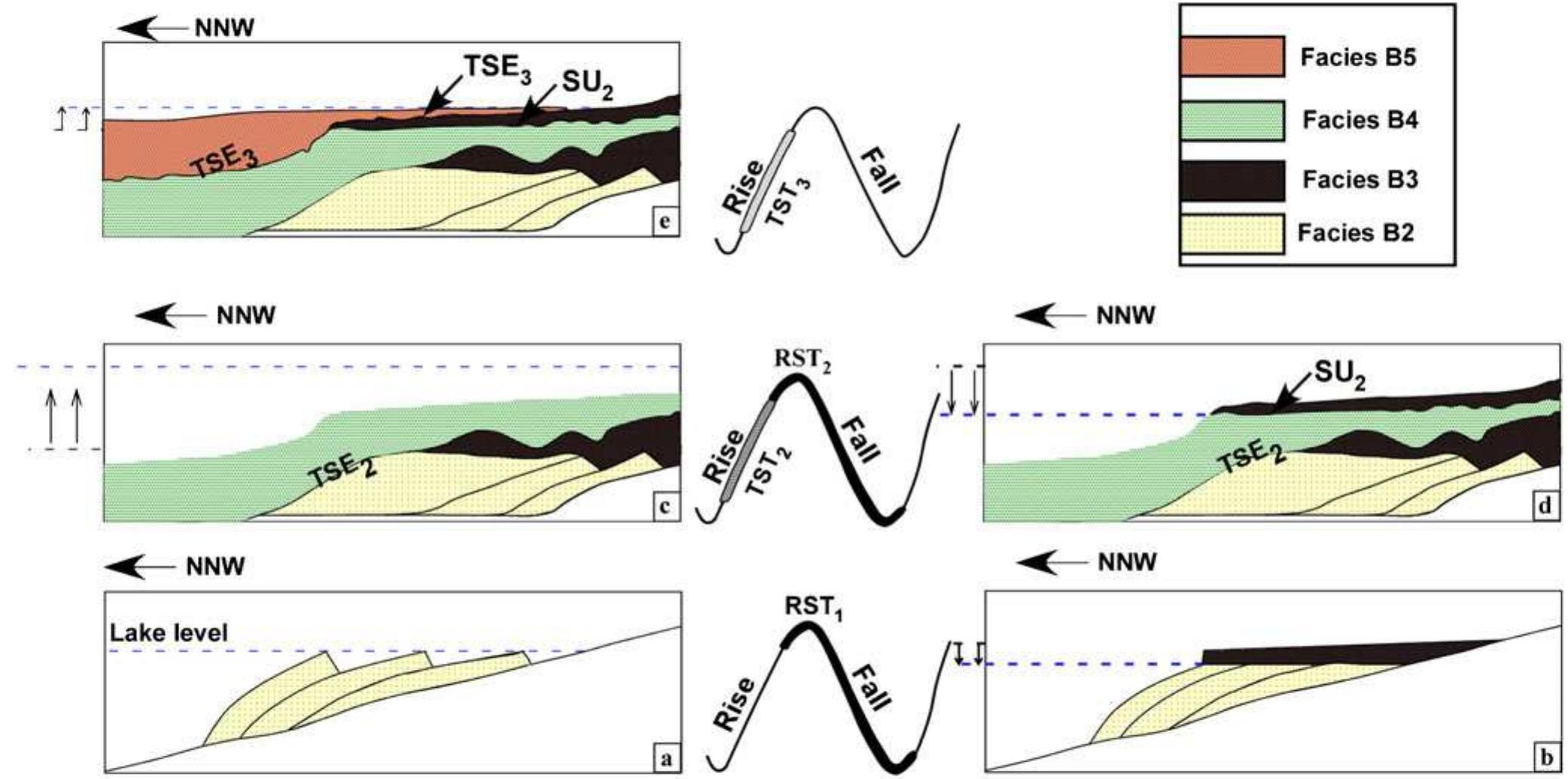 Schematic diagram showing the stratigraphic architecture in