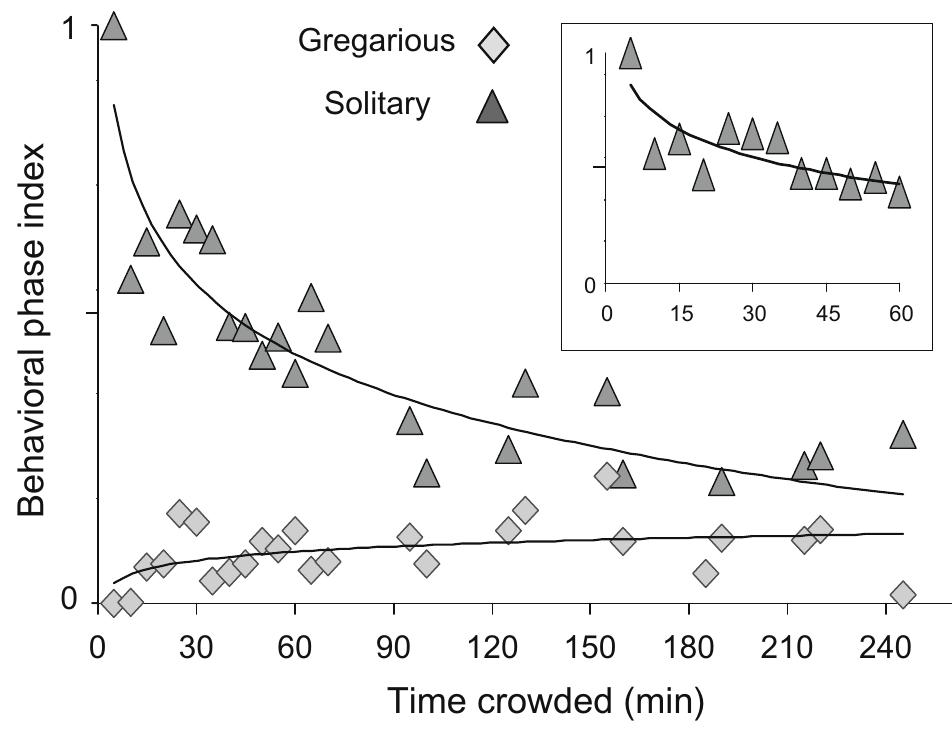 (PDF) Memoirs of a locust: Density-dependent behavioral change as a ...