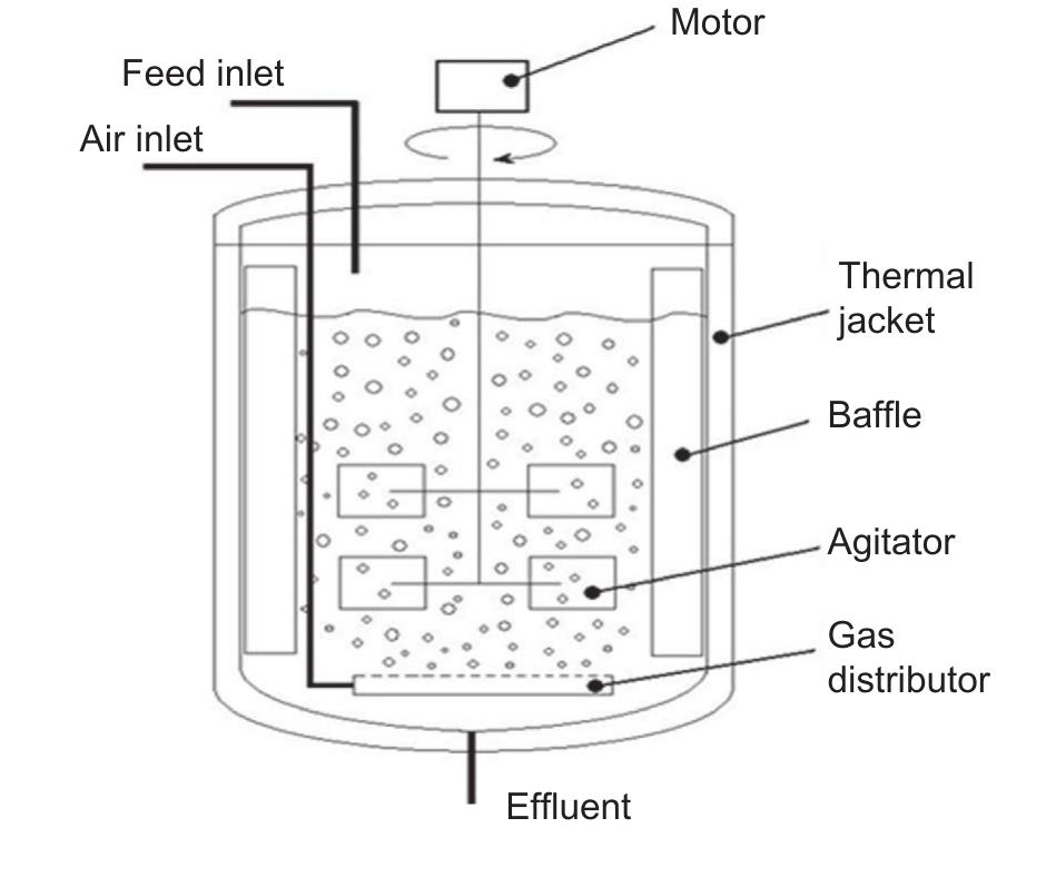 Figure 2 - from Bioreactor design for algal growth as a