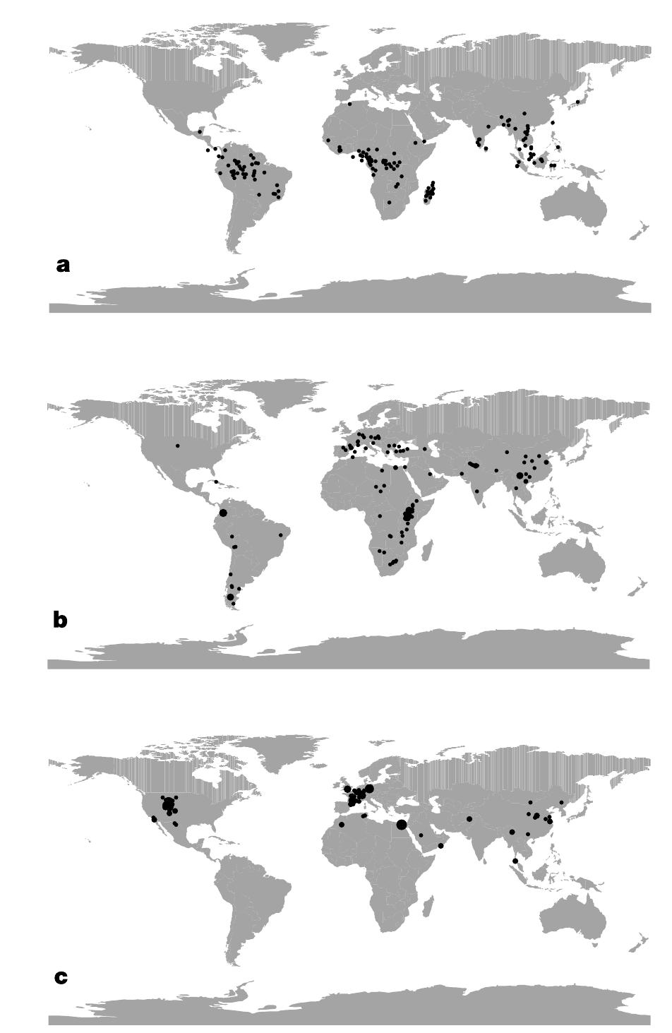 (PDF) Using the fossil record to estimate the age of the last common ...