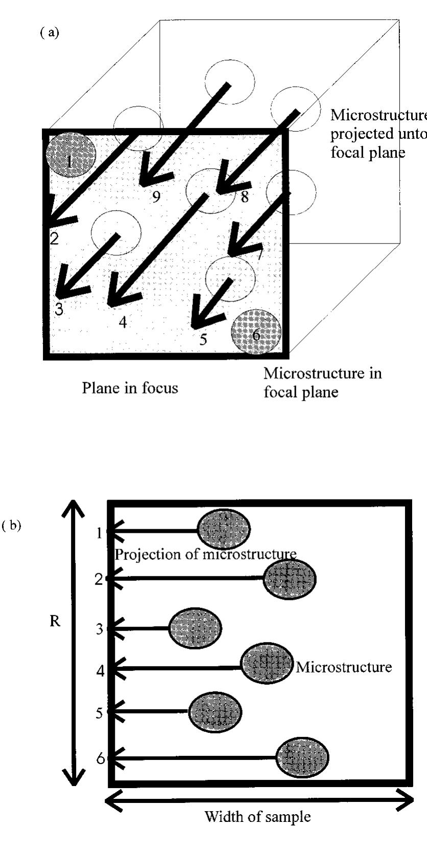 Fat Crystal Structures (PDF) Fractal nature of fat crystal networks