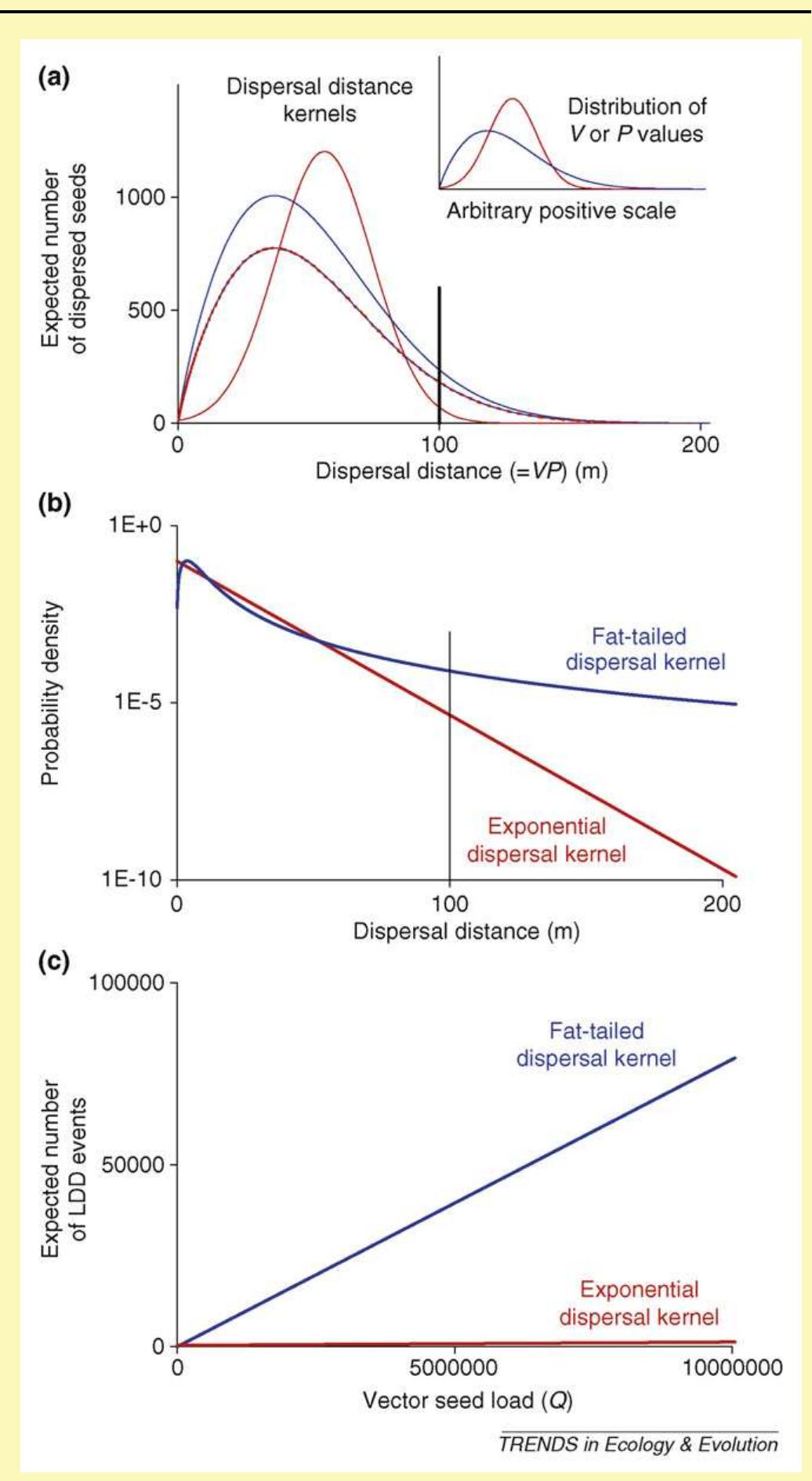 (PDF) Mechanisms of long-distance seed dispersal